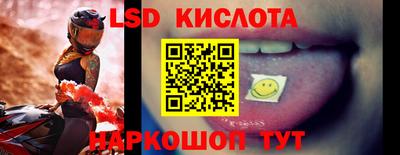 гашик Бузулук