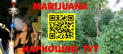гашик Бузулук