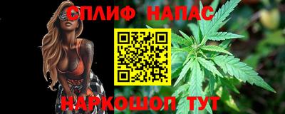 гашик Бузулук