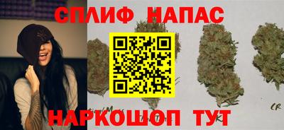 МДПВ Будённовск