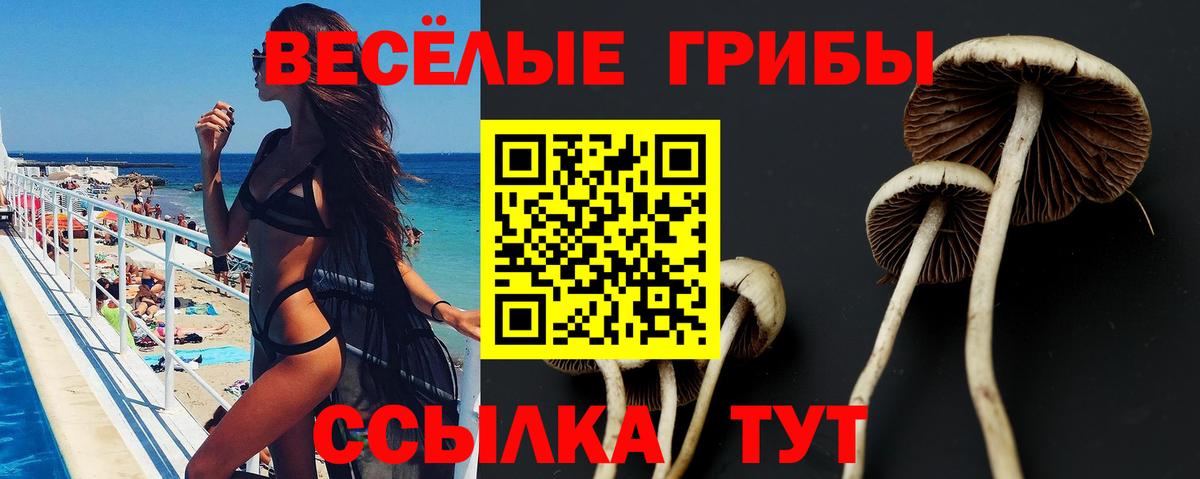Галлюциногенные грибы Psilocybe Тельмана