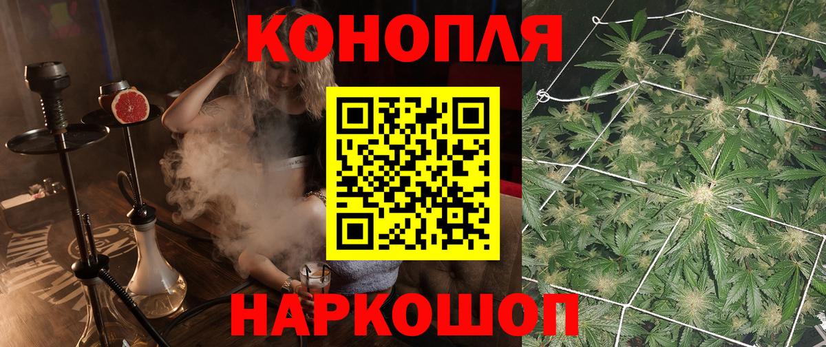 Канабис White Widow Тельмана